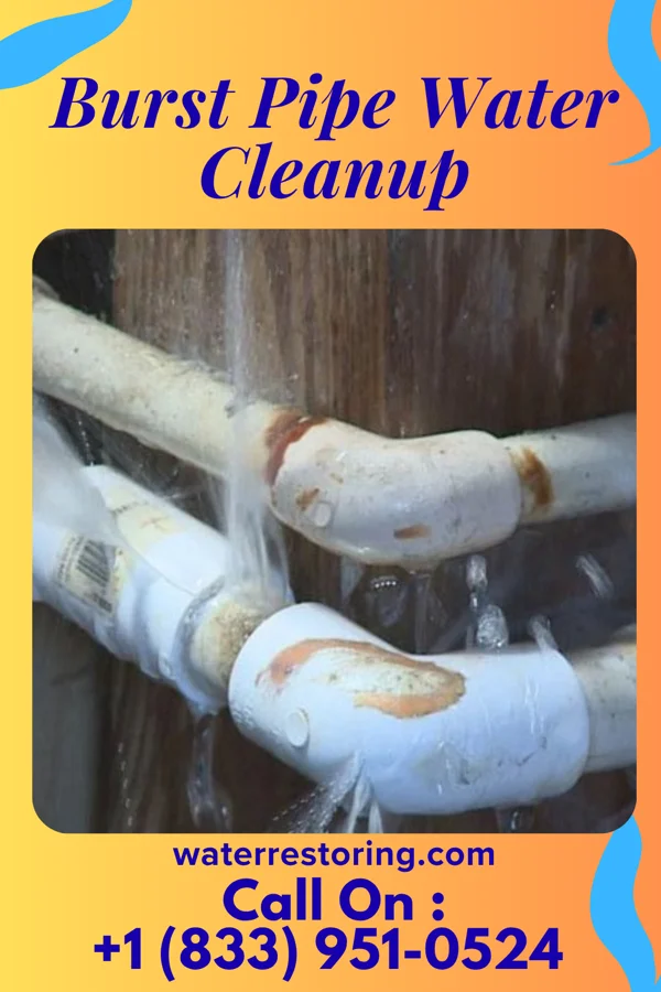 Burst Pipe Water Cleanup in Hatley, WI