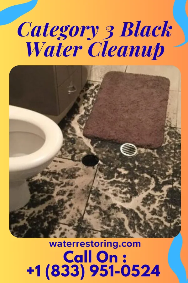 Category 3 Black Water Cleanup in Hatley, WI