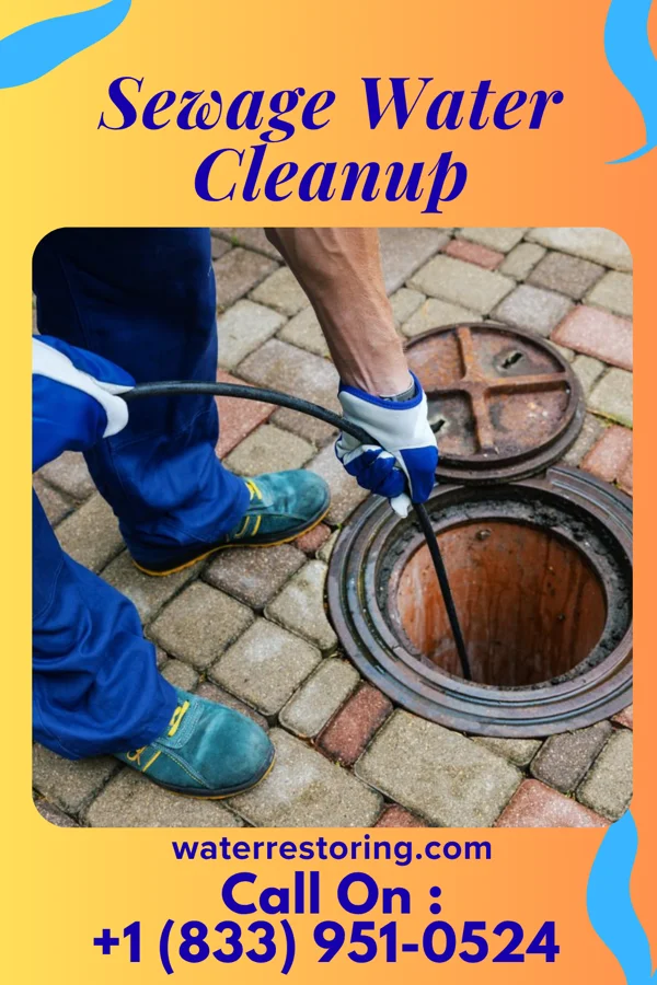 Sewage Water Cleanup in Hatley, WI